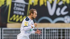 Hradecký Karel Knejzík slaví gól proti Znojmu.