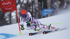 Petra Vlhová na trati obího slalomu Svtového poháru v Killingtonu