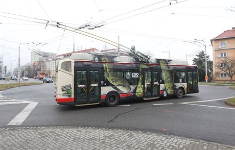 Aby vbec nkteré trolejbusy jihlavské MHD mohly vyjet, musí na n dopravní podnik nasadit idie autobus a brigádníky.