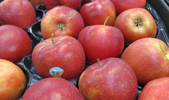 Jablka odrdy Prince, která obsahovalo nebezpený pesticid chlorpyrifos. Na...