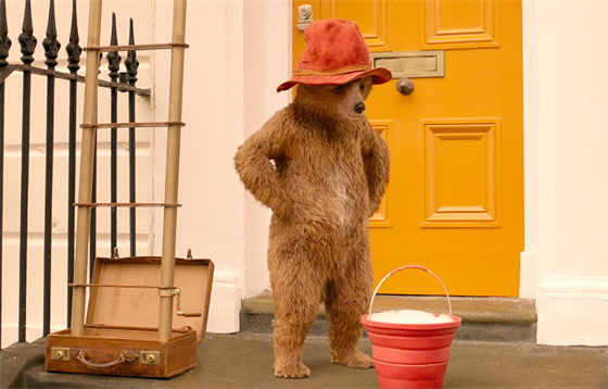 Ve filmu Paddington 2 si medvídek vyzkouší profesi myče oken.