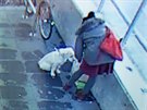 Kamery u obchodu v Hradci Králové zachytily, e psa mohla odvést ena.