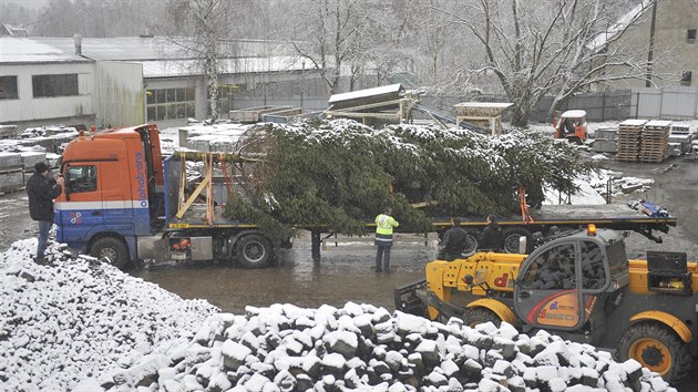 Pracovníci havlíčkobrodských technických služeb naložili 30. listopadu před polednem vánoční smrk na kamion. Ten se pak se vzácným nákladem vydal na 1100 kilometrů dlouhou cestu do holandského Brielle.