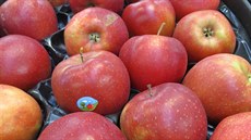 Jablka odr�dy Prince, která obsahovalo nebezpe�ný pesticid chlorpyrifos. Na...