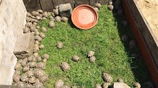 Inspekto�i �eské inspekce �ivotního prost�edí na�li v pra�ských �t�rboholích...