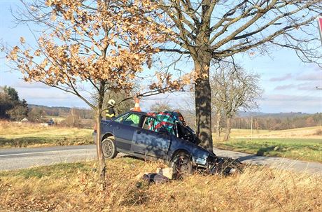 Tragická nehoda se stala mezi Lhenicemi a Hrbovem na Prachaticku.