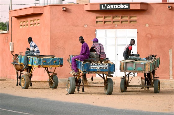 Senegalská vozidla a vozítka se vyznaují zbsilou konstrukcí a prakticky...