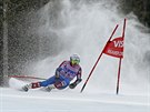 Amerian Ted Ligety oste zatáí na trati obího slalomu v závod Svtového...