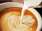 Líbí se vám obrázky, které na kávu maluje nalehaným mlékem barista ve vaí...