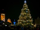 V sobotu byl slavnostn rozsvícen vánoní strom na hlavním budjovickém námstí.