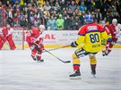 Momentka z prvoligového duelu hokejist eských Budjovic (lutá) a Slavie