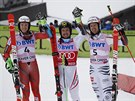 Rakouský lya Marcel Hirscher (uprosted) se raduje v cíli obího slalomu v...