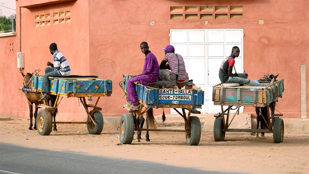 Senegalská vozidla a vozítka se vyznačují zběsilou konstrukcí a prakticky...