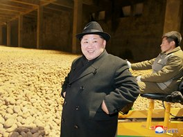 Severokorejsk vdce Kim ong-un na inspekci tovrny na bramborovou mouku v...