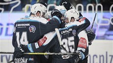 Plzeňští hokejisté společně slaví branku.