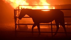 Kalifornii trápí v posledních dnech rozsáhlé požáry