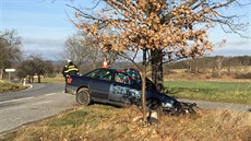 Tragická nehoda se stala mezi Lhenicemi a Hrbovem na Prachaticku.