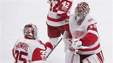 Jimmy Howard (35) nahrazuje v detroitské brance Petr Mrázka.