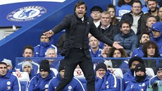 Trenér Chelsea Antonio Conte bhem duelu s Newcastlem