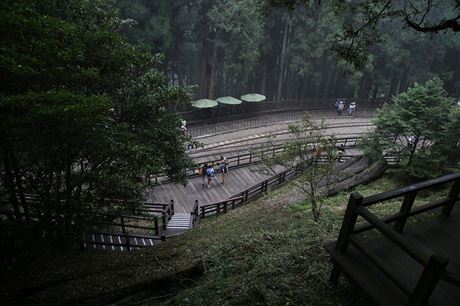 Velice atraktivn nrodn park Alishan v nadmosk vce 2 200 metr zabr...