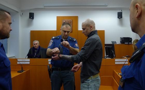Janu Slavíkovi naídil soud pobyt v detenním zaízení.