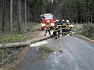 Hasii na Olomoucku odstraují popadané stromy (11.12.2017)
