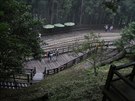 Velice atraktivní národní park Alishan v nadmo�ské vý�ce 2 200 metr� zabírá...