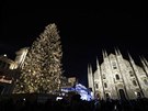 Vánoní strom na milánském námstí v Itálii konkuruje svou výkou i místní...