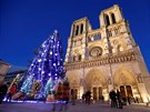 Panorama paíské katedrály Notre Dame dopluje obí vánoní strom. 