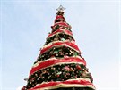 Vánon zdobený strom, ladný do ervené barvy, zdobí námstí Plaza Murillo v...