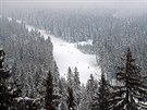 Pohled ze zimní stezky v korunách strom v krkonoských Janských Lázních...