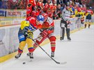 Momentka z duelu prvoligových hokejist eských Budjovic (lutá) a Prostjova