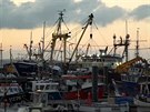 Brexit bude nejspí komplikovat práci i rybám