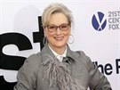 Meryl Streepová je jedna z hereek, kterou v rámci projektu Fantasy Dress Up...