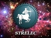 Stelec