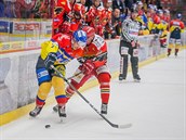Momentka z duelu prvoligových hokejistů Českých Budějovic (žlutá) a Prostějova