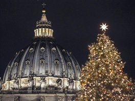 Vedle baziliky Sv. Petra ve Vatikánu byl umístn 21 metr vysoký strom. Ten do...