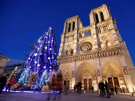 Panorama pařížské katedrály Notre Dame doplňuje obří vánoční strom. 