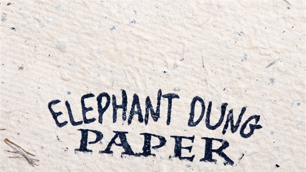Sloni produkují nejen pivo. V Jihoafrické republice se prodává například papír ze sloních exkrementů.