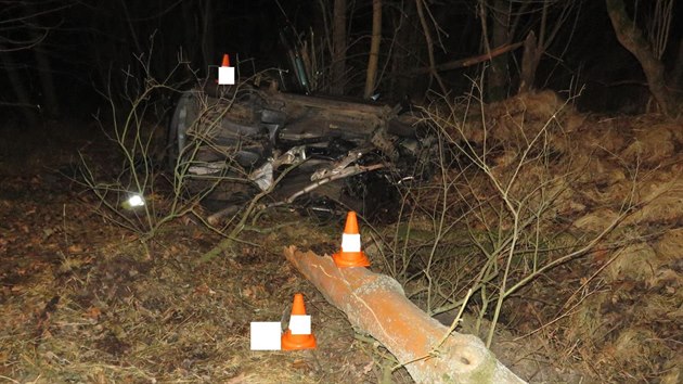 idika vyjela ze silnice a auto skonilo mezi stromy. Nehoda se stala mezi obc Obora a Netolicemi.