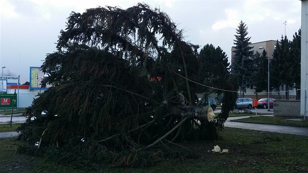 Siln vtr vyvrtil vnon strom v Plzni-Kimicch.