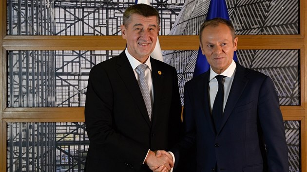 esk premir Andrej Babi (vlevo) se v Bruselu ped summitem EU setkal s fem Evropsk rady Donaldem Tuskem. (14. prosince)