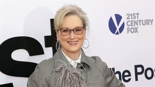 Meryl Streepov je jedna z hereek, kterou v rmci projektu Fantasy Dress Up virtuln oblkaj.