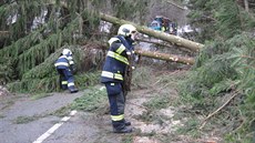 Stromy popadaly i na cestu spojující Vsetín a Malou Bystici v lokalit Duný.