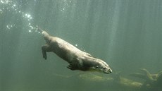 ilustra�ní snímek