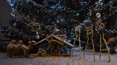 Silný vítr vyvrátil vánoní strom v Plzni-Kimicích. Nahradil ho dvouletý...