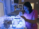 Vrchní sestra neonatologického oddlení Kamila Pádová kontroluje novorozence...