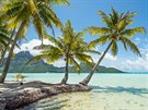 Ostrov Bora Bora patří právem k nejhezčím místům na Zemi.