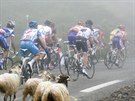 Hlavní favorité Tour de France roku 2010 v ele s Alberto Contadorem ve lutém...