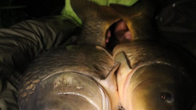 Kouzelná noc. Při rybářských žních před půlnocí Blažka chytil dva kousky s celkovou váhou 16,5 kilogramů.
